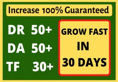 I will Guarented increase domain rating ahrefs DR 50 moz da 50 majestic tf 30