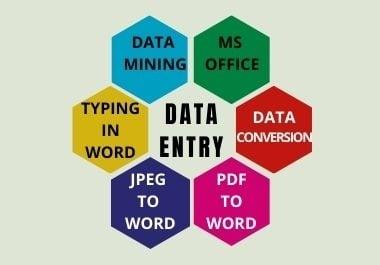 I will do data entry copy past MS office work for you in a short time