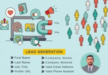 i will do targeted b2b lead generation,  web research and email list