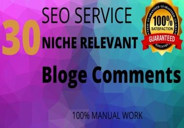 I will give you 30 niche relevant bloge comments