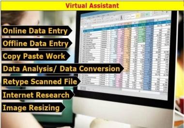 I will do perfect excel data entry,  data analysis,  typing and internet research