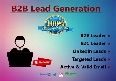 I'll will provide any kinds of Leads for you with targeted Niche