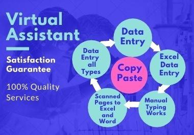 I will be your virtual assistant and do excel spreadsheet data entry or excel and others data entry