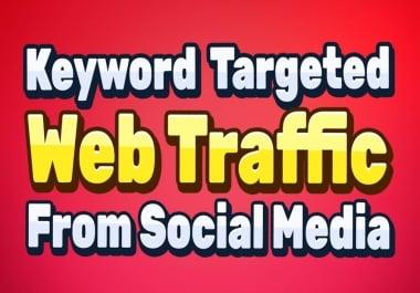 1, 00,000 HQ worldwide website traffic