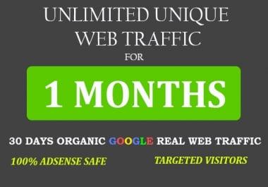 Unlimited Unique Website Traffic visitors for 1 month