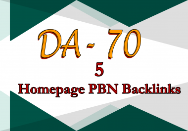 Build 5 High Metrics Homepage PBN Backlinks