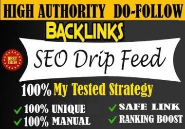 I will submit 30 days SEO drip feed blog comments backlinks