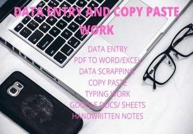 I will do excel data entry,  copy paste work and typing