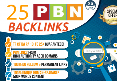 I build 25 manual pbns high quality Dofollow backlinks
