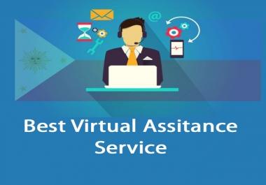 I will be your online virtual assistant
