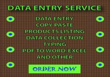 I will do data entry,  copy paste and excel data entry work for you