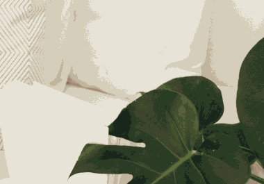 333 google point map citations for local SEO