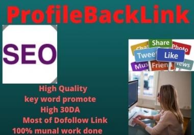 I will create 20 high quality Profile backlinks service must rank your website