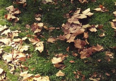 Get Premium 1000+ PBN backlink with High DA/PA/TF/CF on Your Homepage with Unique Website