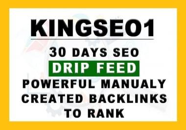 30 Days SEO Drip Feed PowerFull Backlinks TOP on GOOGLE