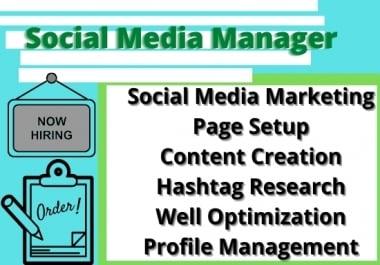 i will do social media marketing manager and virtual assistant for you