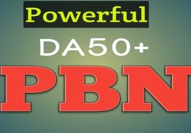 Build powerful 240 Homepage PBN Back links High Quality DA 70 to 35+