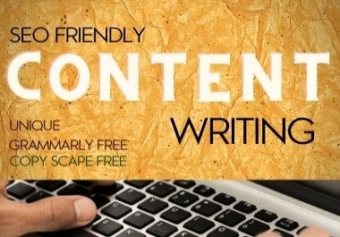 I will write SEO Friendly Content for your website or blog