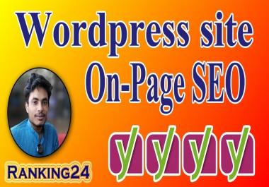 I will do on page SEO and technical SEO of wordpress website with yoast