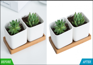 do professional background removal or cut out pic and shadow