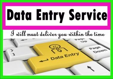 do excel data entry,  copy paste,  typing,  data entry