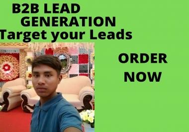 I will do b2b lead generation for your Targeted Niche for 2
