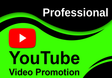 I will do youtube promotion of a video with a niche relevant audience
