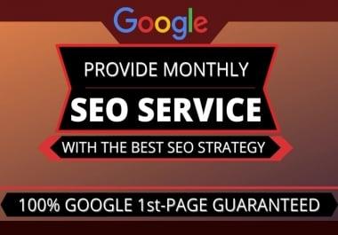 I will provide monthly wordpress SEO service for google top ranking