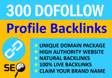 300 Manual SEO Backlinks Building on your website