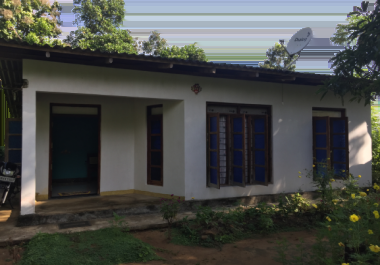 Colorize Photos and images background remover