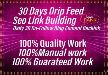 I will submit 30 days drip feed daily 30 blog comments link building service