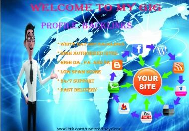 I will do create excellent 10 high DA and PR profile