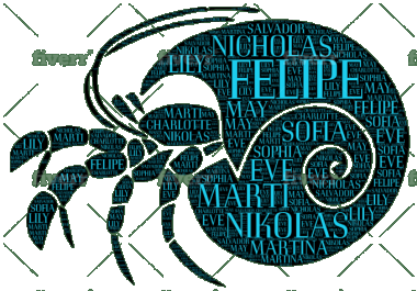 I will design tag cloud typography word cloud any custom shape