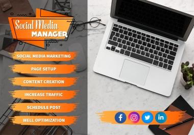 I will be your expert social media marketing manager & content creator