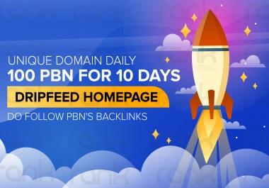 Unique Domain Daily 100 PBN for 10 days DRIPFEED Homepage Dofollow PBN's Backlinks