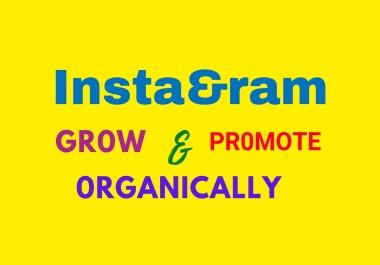 I will promote and grow Instagram page naturally
