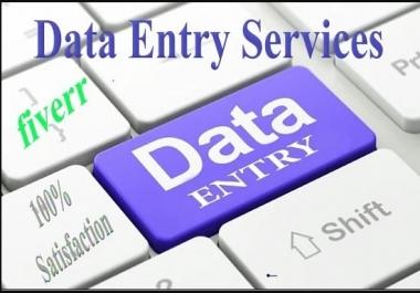 I will do excel data entry,  web research,  data entry,  copy paste,  virtual assistant