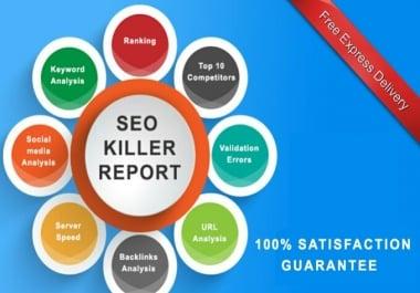 I will provide you Professional Backlinks detailed SEO reports