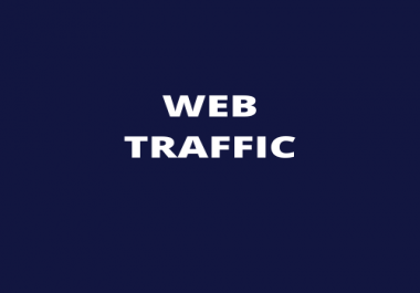 I will do provide USA web traffic