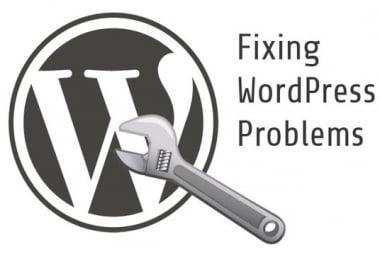 Fix wordpress issues,  bugs,  errors within 24 hours