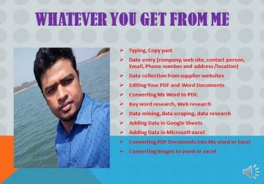 I will do data entry,  convert PDF to word,  data collection,  copy paste