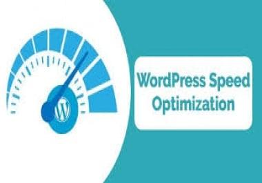 I will do WordPress speed optimization
