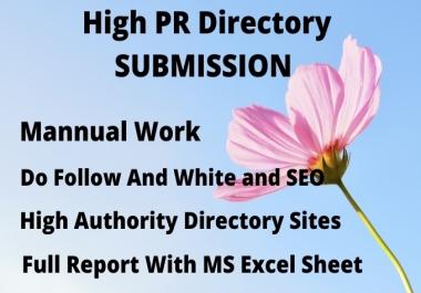 I will create 100 directory submission SEO backlinks.