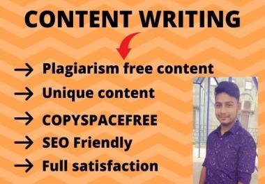 I will be your content writer and copywriter.