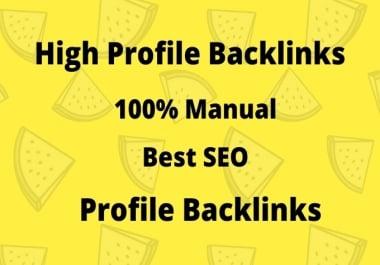 I will create 100 high profile backlinks