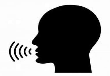 Professional voice text to voice