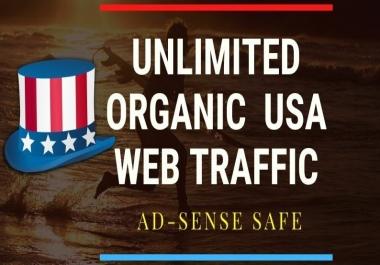 33.8k usa web traffic keyword target USA website traffic