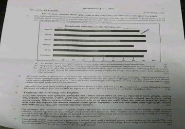 The Documentation Specialist & Article Writer