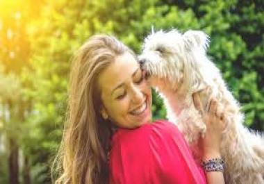 The 12 Best Jobs for Dog Lovers 1000 word