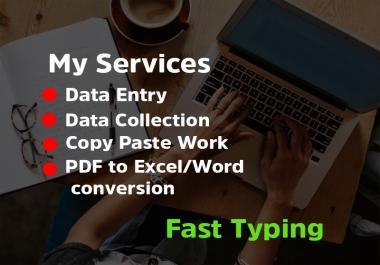 I will do data entry,  copy paste work of your business